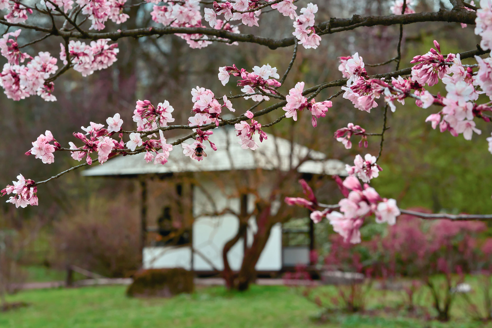 Botanical Garden