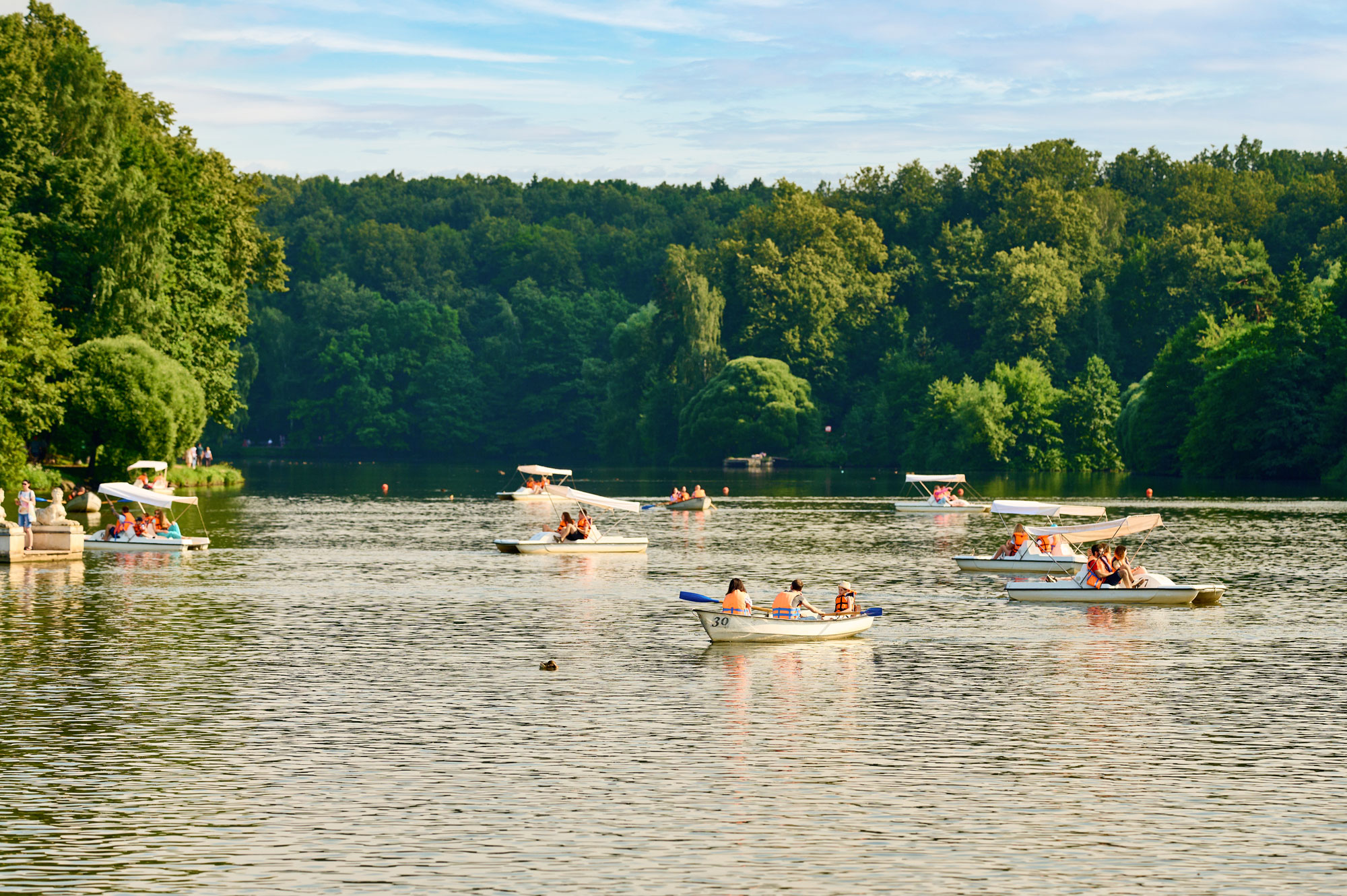 Take a catamaran on the ponds