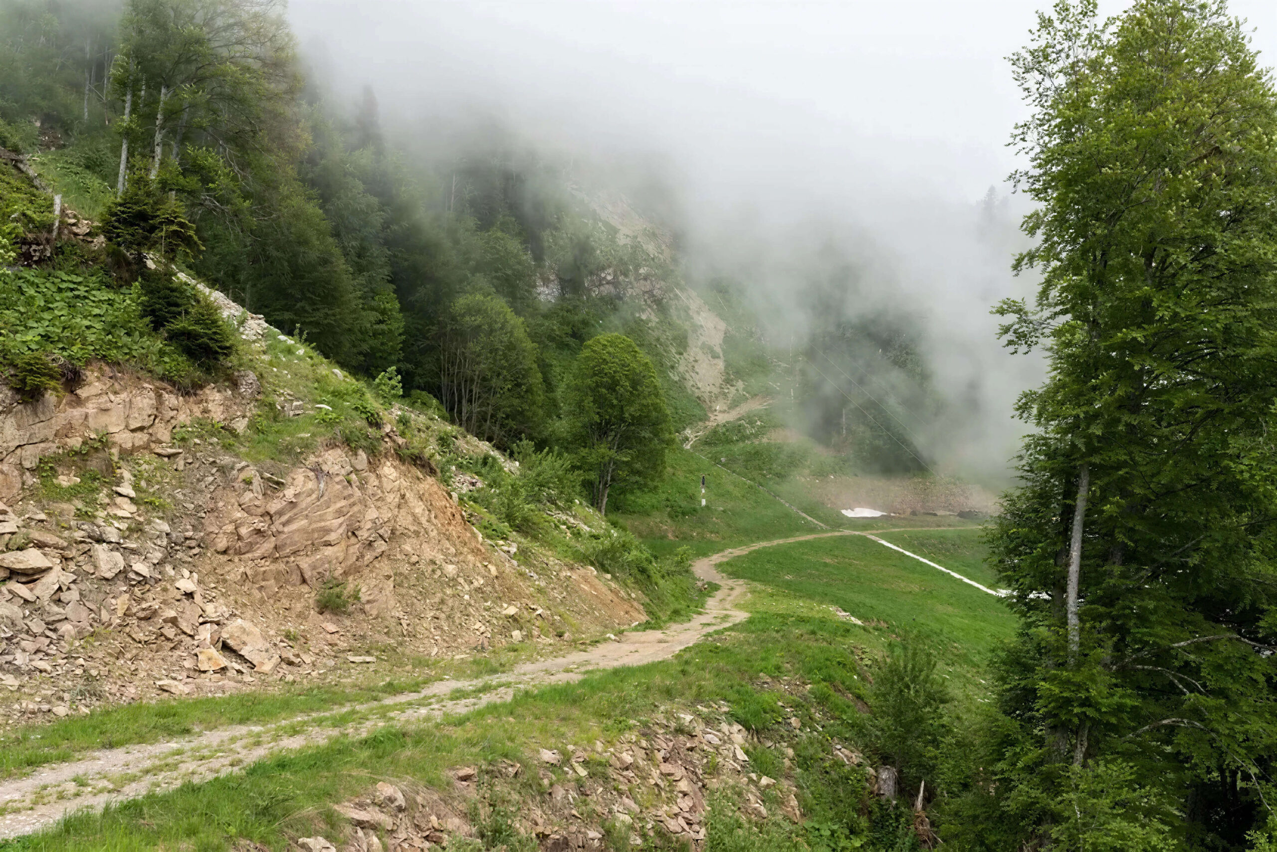 Explore the Hiking Trails