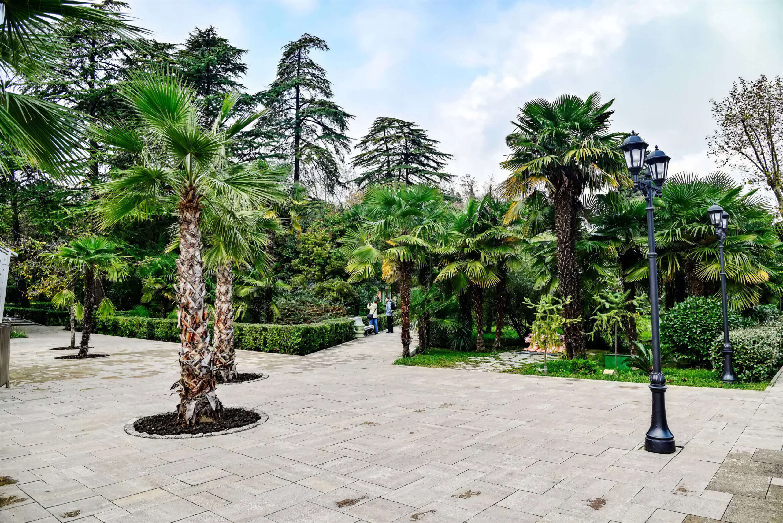 Explore Riviera Park
